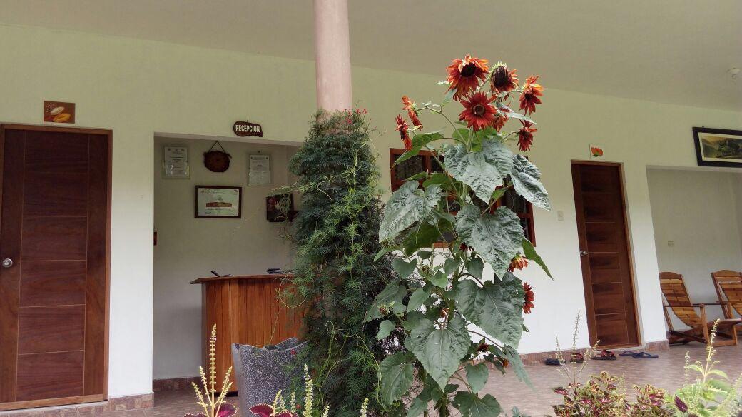 El Mangal Hostel Maranura Екстериор снимка