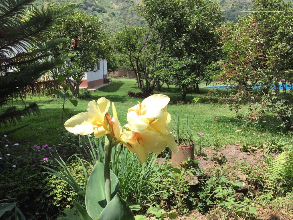 El Mangal Hostel Maranura Екстериор снимка